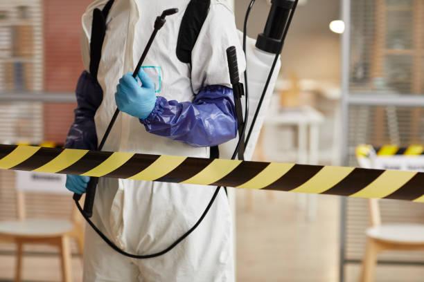 Professional Odor Removal technician working in Hampton, AR